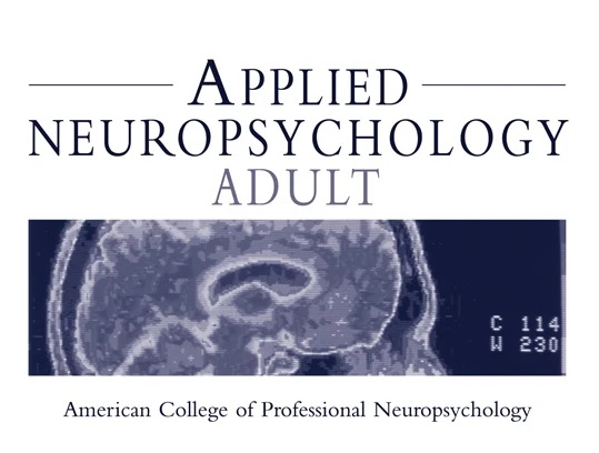 The limitations and challenges in the assessment of executive dysfunction associated with real-world functioning: The opportunity of serious games